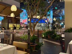 -桂满陇·海市蜃楼·黑金(国金店)