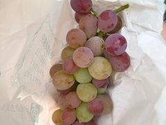 -马陆小张葡萄园农家乐