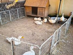 -HERRE·FARM 赫尔露营农场·团建聚会包场