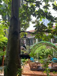 -宝生月子中心(独栋园林·福田店)