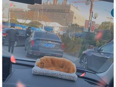 -上海海事大学(临港校区)