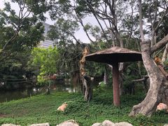 -深圳野生动物园