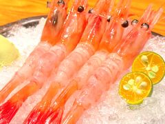 -九州酒场ひこぞう(1号店)