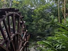 -七仙岭温泉国家森林公园