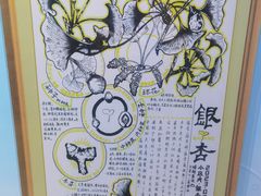 -上海昆虫博物馆