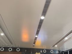 -麦当劳(北京大兴机场二层国内到达(安检外)店)