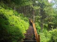 -苏木山森林公园
