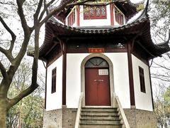 -上海佘山国家森林公园天马山园