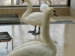 -沈阳森林动物园