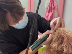 -全心全意连锁动物医院·微创中心·内科急重症·心脏专科(丰管路店)