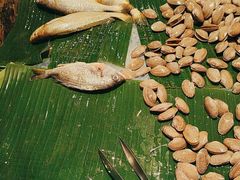 -马哥孛罗咖啡厅·Cafe Marco (厦门马哥孛罗东方大酒店)