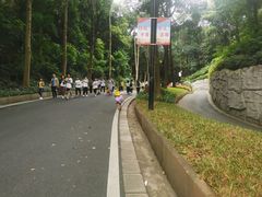 -森波拉火山温泉