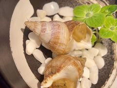 -Mr.Fish鱼鲜生海鲜放题(高德置地冬广场店)