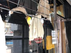 -挚友(东四二条)