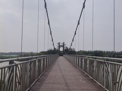 -西青郊野公园