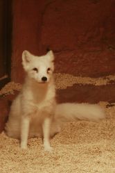 -Zoolung Zoolung动物主题公园(海信广场店)