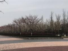 -金陵图书馆