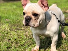 -贡湖湾湿地公园