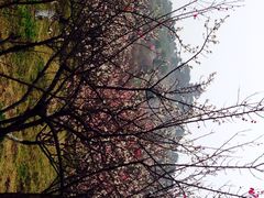 iphone_upload_pic-林屋洞景区
