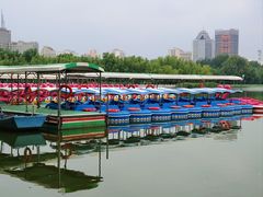 -莲花池公园