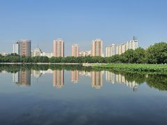 -莲花池公园