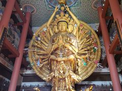 -上海东林寺(金山区)