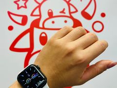 -Apple零售店(深圳益田假日广场店)