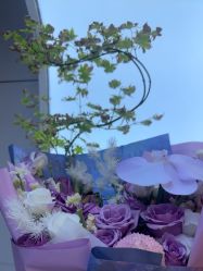 -章光101防脱养发荟