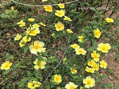 -鬼笑石后山停车场