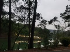-红花湖景区