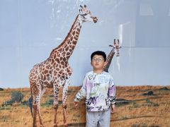-深圳野生动物园