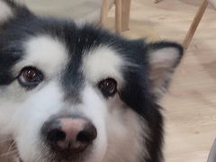 -白兔子密室(长寿路店)