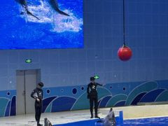-石家庄极地海洋世界