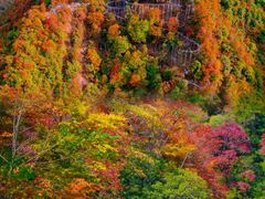 -光雾山旅游景区
