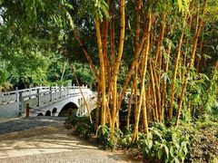 -广西壮族自治区药用植物园