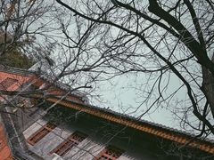 -星巴克(西安曲江银泰店)