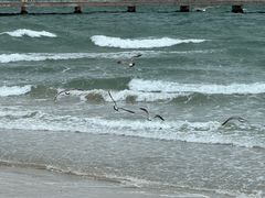 -ChanDu躔度咖啡(灯塔店)