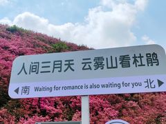 -木兰云雾山