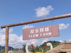 -青岩古镇