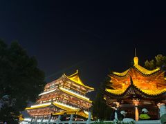 -杜甫江阁