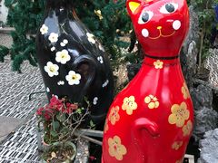 -猫咪博物馆(顶澳仔猫街店)