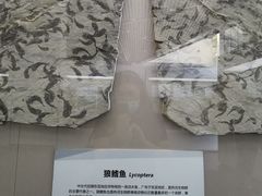 -房山世界地质公园博物馆