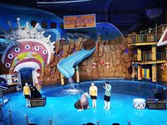 -烟台海昌鲸鲨海洋公园