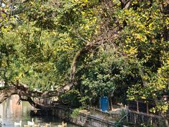 -丝绸小镇荻港古村