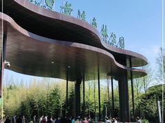 -黄海国家森林公园