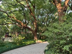 -吴山景区