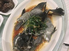 -濠景渔港(汇通店)