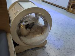 -喵园·猫主题咖啡厅·撸猫·猫咖(国贸店)