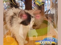 -天津万象城