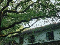 -西园戒幢律寺